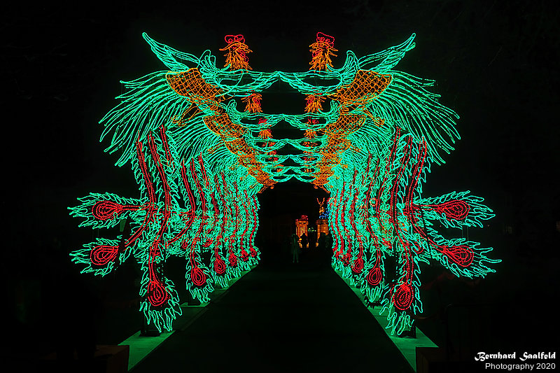 Bernhard Saalfeld - China-Light-Festival 2020 (9v9)